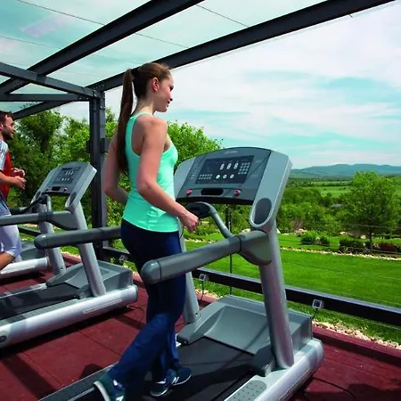 Hotel Adler Thermae 5*
