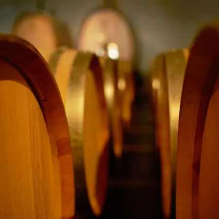 فندق Adler Thermae