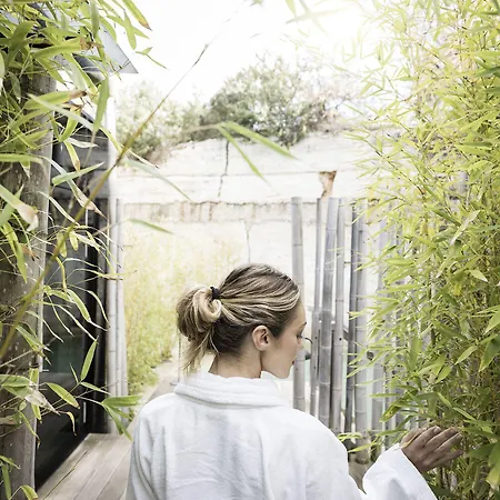 فندق Adler Thermae